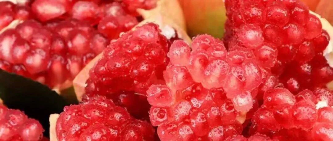 这东西带回家，爸妈看了都猛夸！满口甜蜜爆爽！