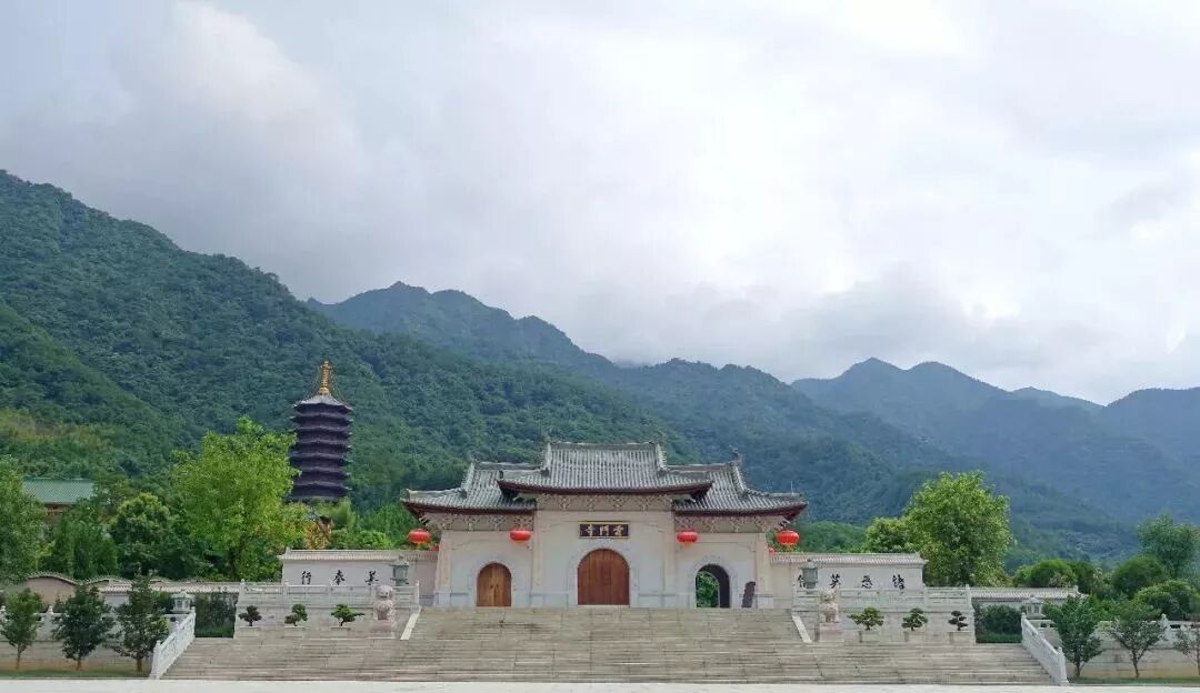 农禅丨7月25日云门寺进行普请收稻活动