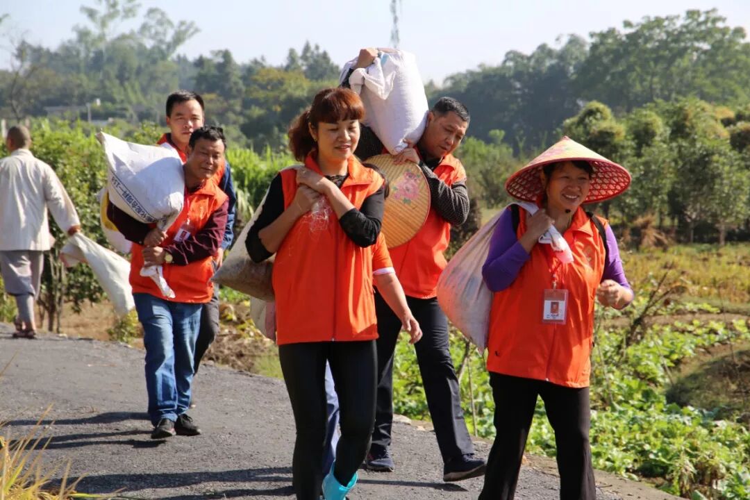 农禅丨7月25日云门寺进行普请收稻活动