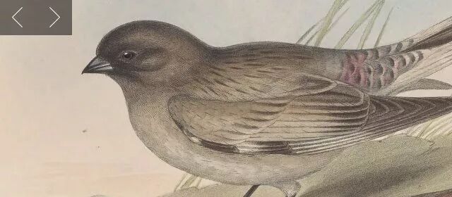 书格网官网_书格网app下载_孔子旧书网书官网