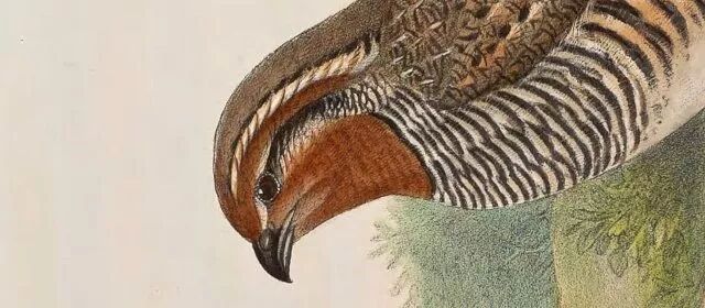 书格网官网_书格网app下载_孔子旧书网书官网