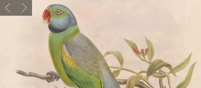 书格网app下载_孔子旧书网书官网_书格网官网