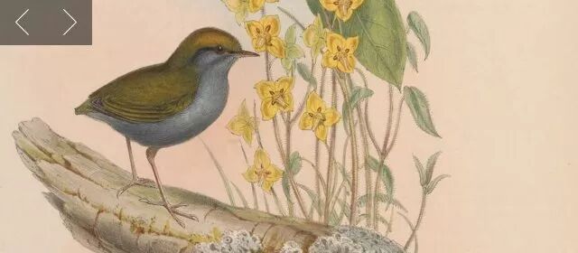 孔子旧书网书官网_书格网官网_书格网app下载