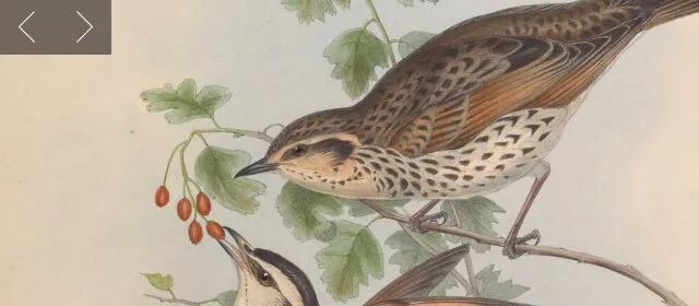 书格网官网_孔子旧书网书官网_书格网app下载