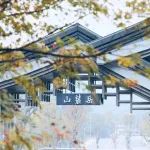 藏不住啦！岳麓山西大门美出圈（内附美图）