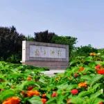 游橘子洲，品湖湘文化 | “心有岳麓 情系橘洲” 文艺作品征集大赛之文学作品选登三