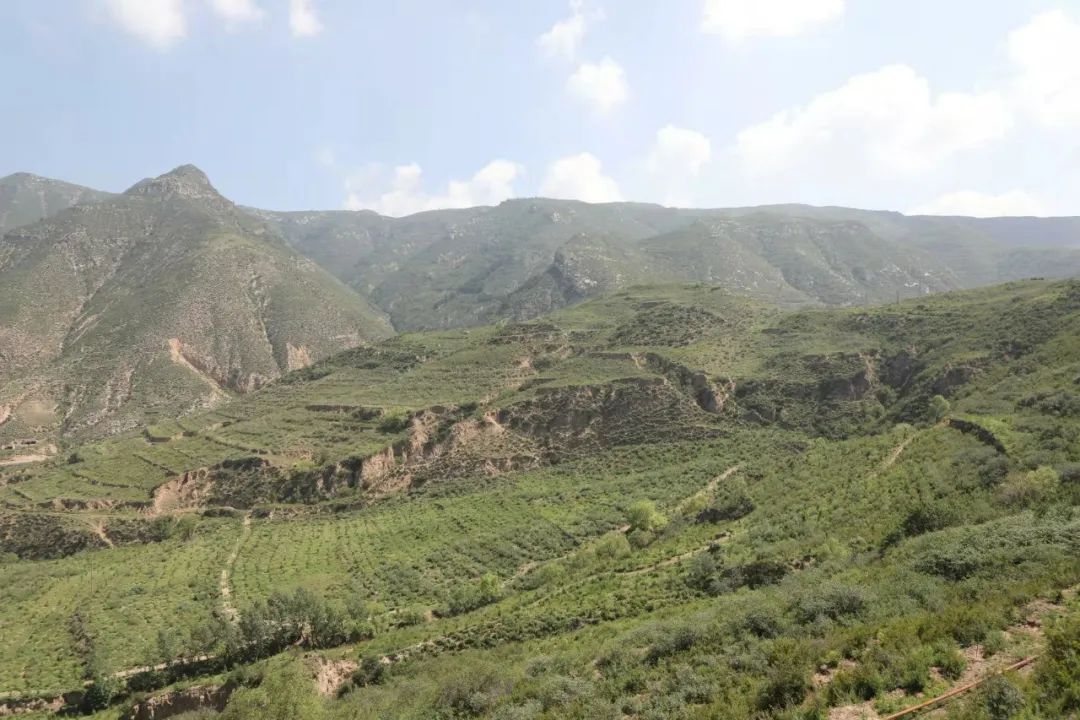 微信图片_20221009093104