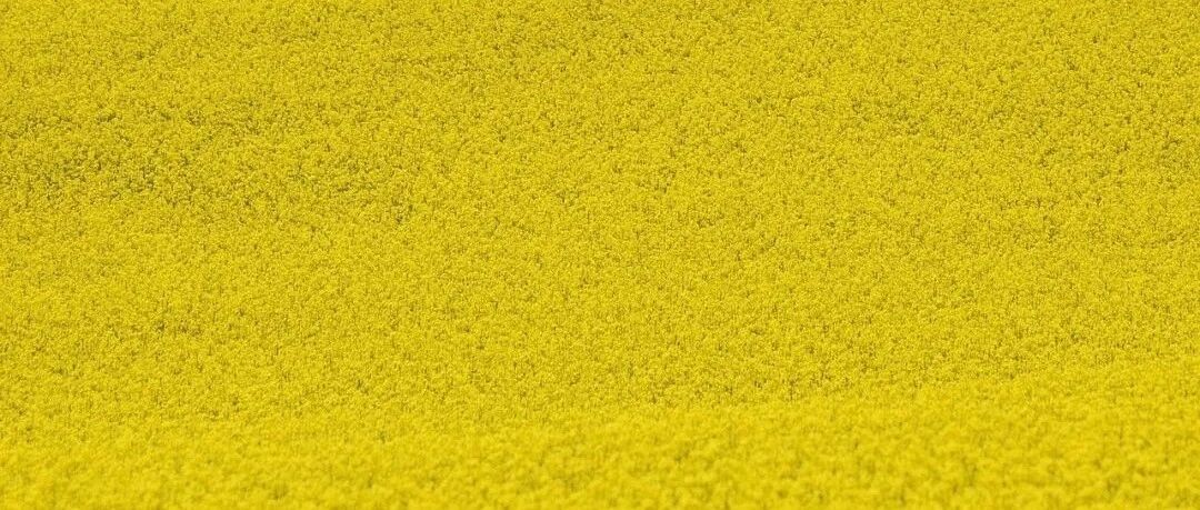 百万转发！这个招聘文案火了