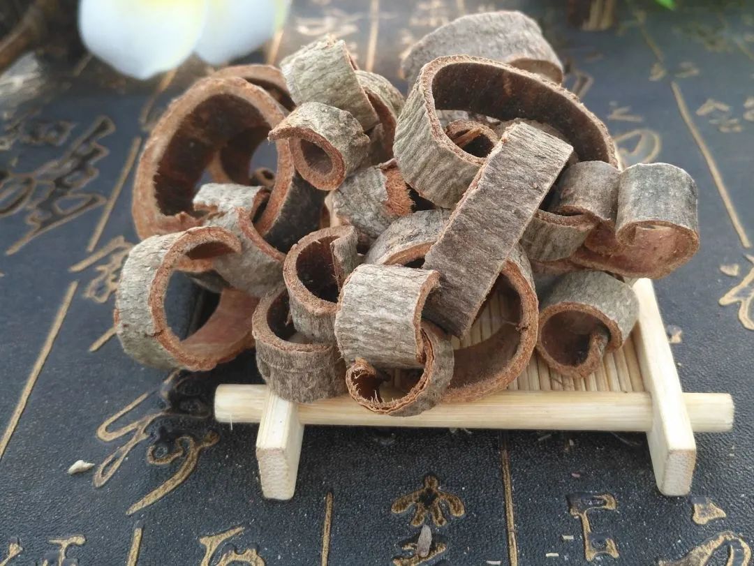 燥湿良药——厚朴