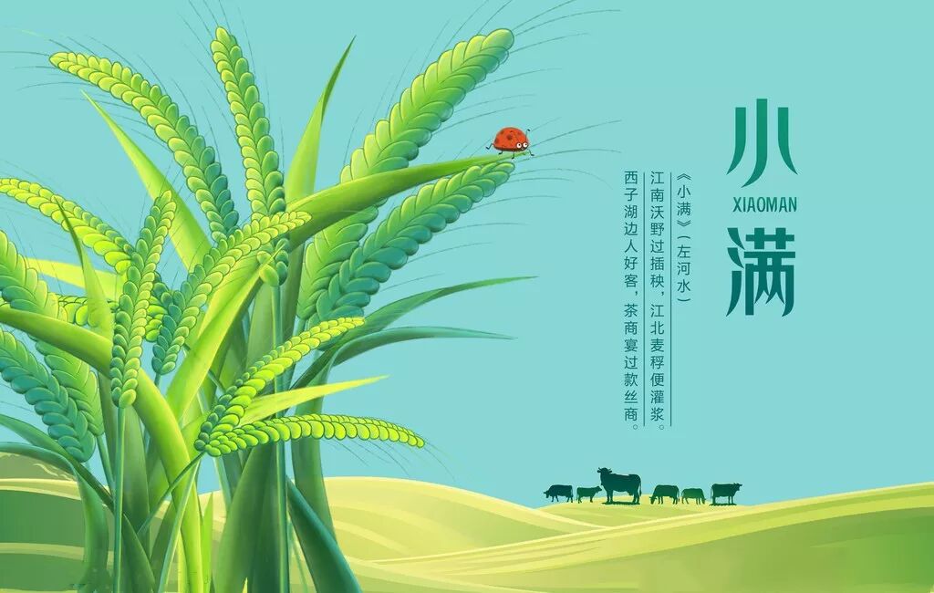 今日小满，小小的充实、淡淡的满足！