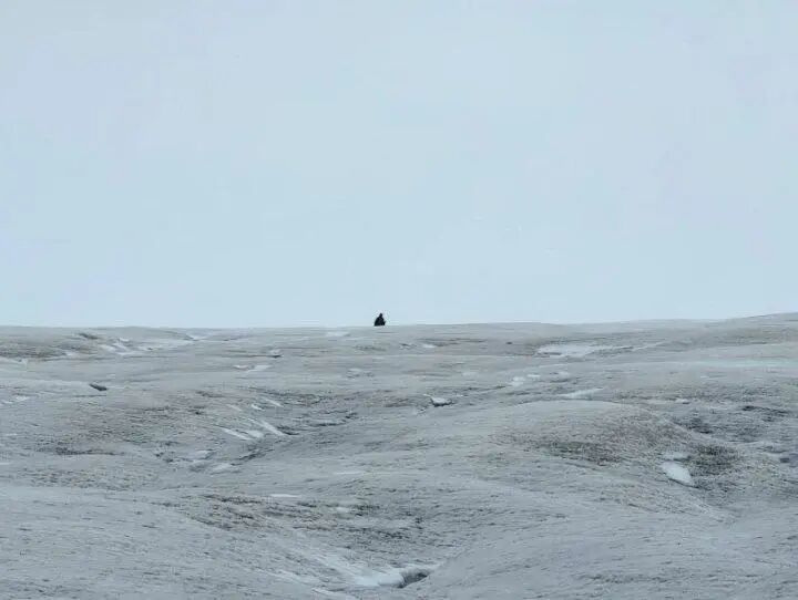 90后女子独自徒步雪山失联9天！家属发30万重金求助，西藏警方回应