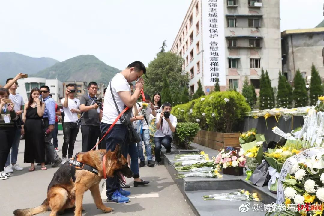 汶川地震救下15條人命的狗狗去世！網友寫下3800條評論，第一條就看哭了… 寵物 第34張