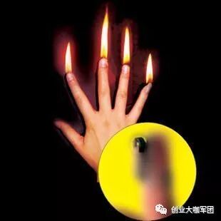 创业邦创业项目_创业网-汇集中国创业好项目!_宠物写真创业项目