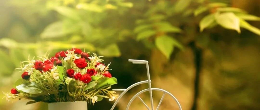 微信公众号月下花语 Hpqy777 最新文章 微信公众号文章阅读 Wemp