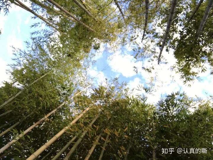 从事CAE仿真工作是一种怎样的体验？的图5