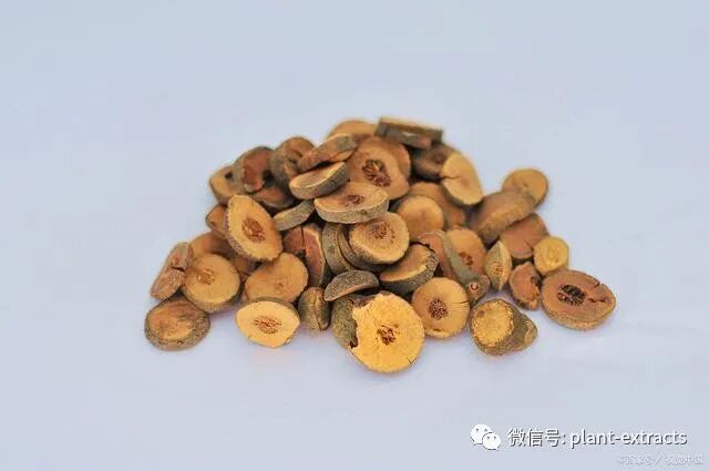 枳实在中医上是一种比较常见的药材，你知道枳实的作用与功效吗？