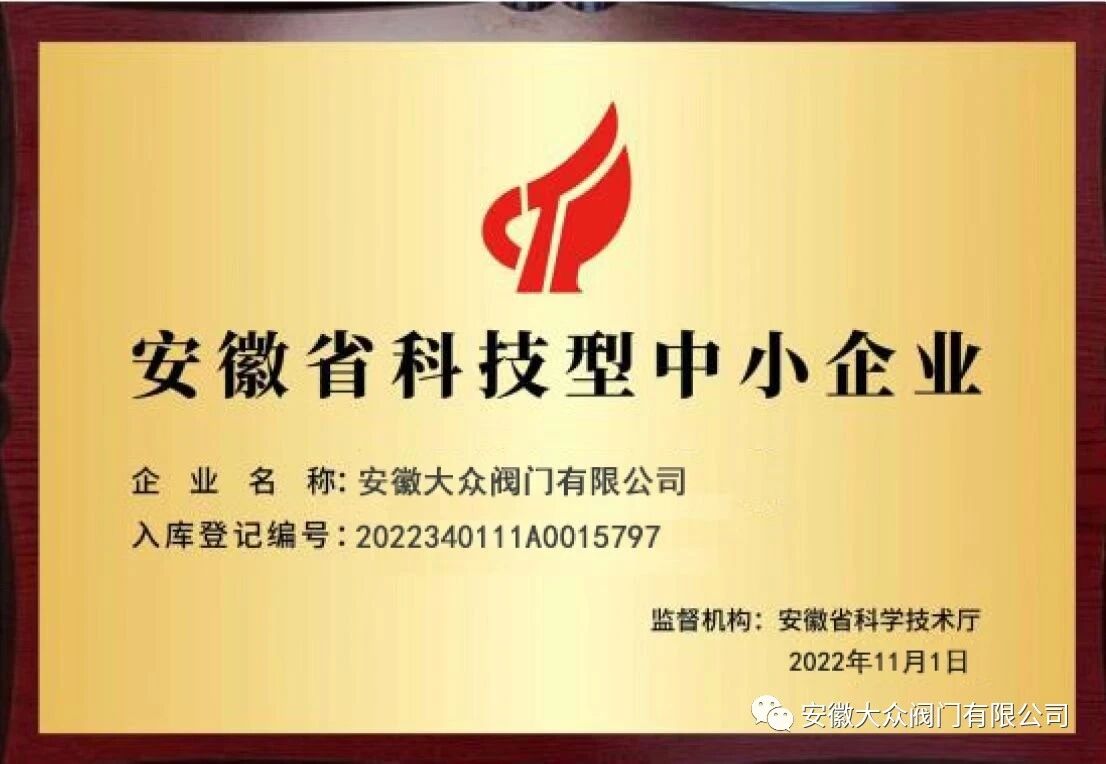 安徽大众阀门集团有限公司获安徽省2023年第5批拟入库科技型中小企业名单(图3)