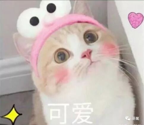 杨幂魏大勋约会被拍、被扒出昨夜一起通宵打游戏！800w公关费打水漂了···（组图） - 100