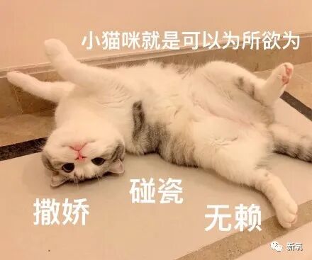 隐婚富二代 舞台金刚 世纪作精 红了15年的天团全员恶人啊 新氧 微信公众号文章阅读 Wemp