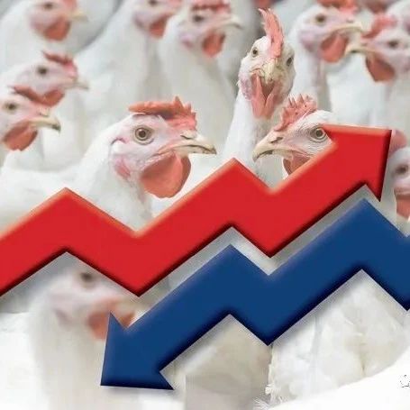 全球食品价格下跌，但家禽价格创历史新高