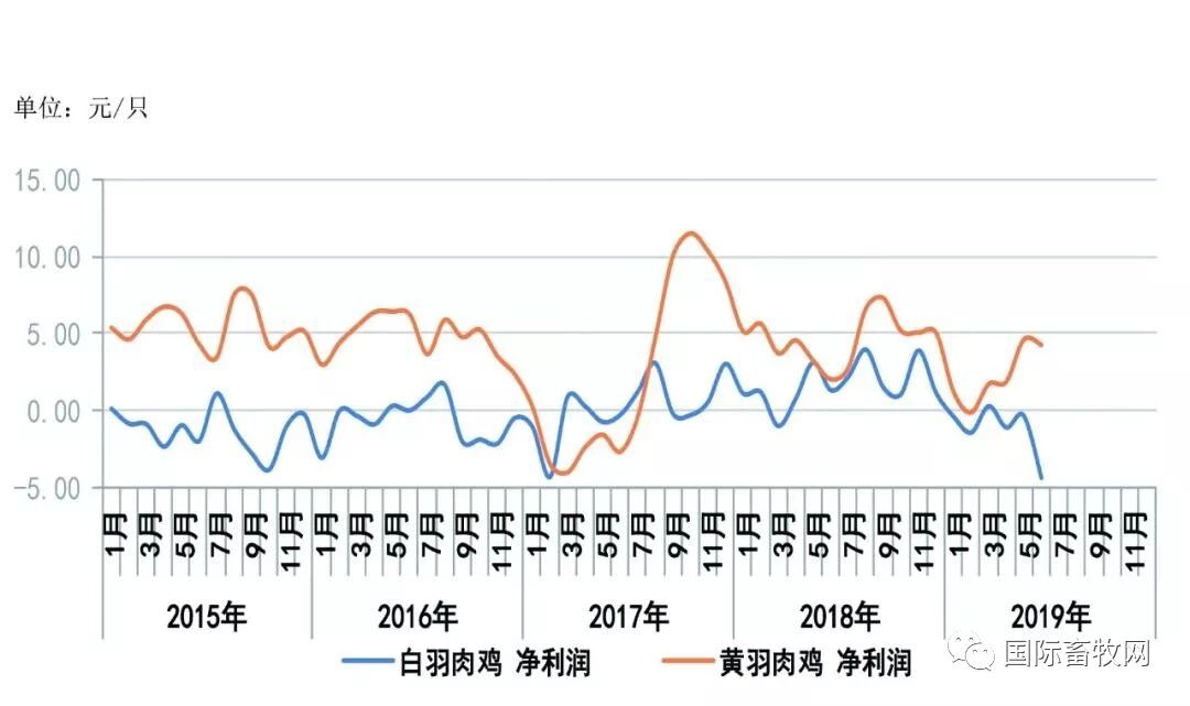 2019下半年蛋鸡、肉鸡生产形势分析及后市展望
