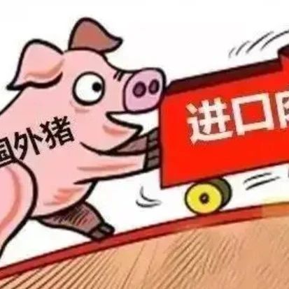预计中国猪肉进口量将在下半年上升