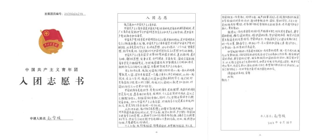 志愿團入團認識書怎么寫_入團志愿書對團的認識_志愿團入團認識書模板