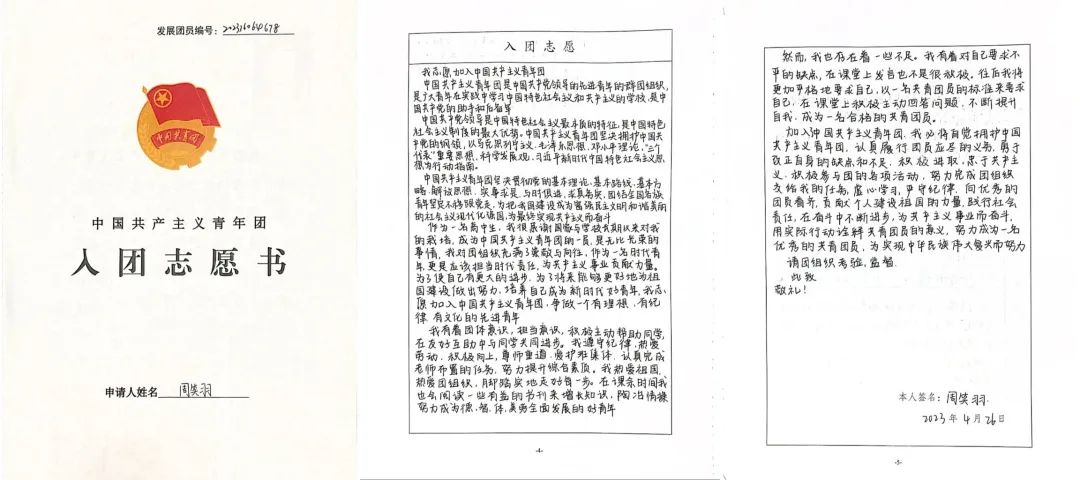 志愿團入團認識書模板_入團志愿書對團的認識_志愿團入團認識書怎么寫