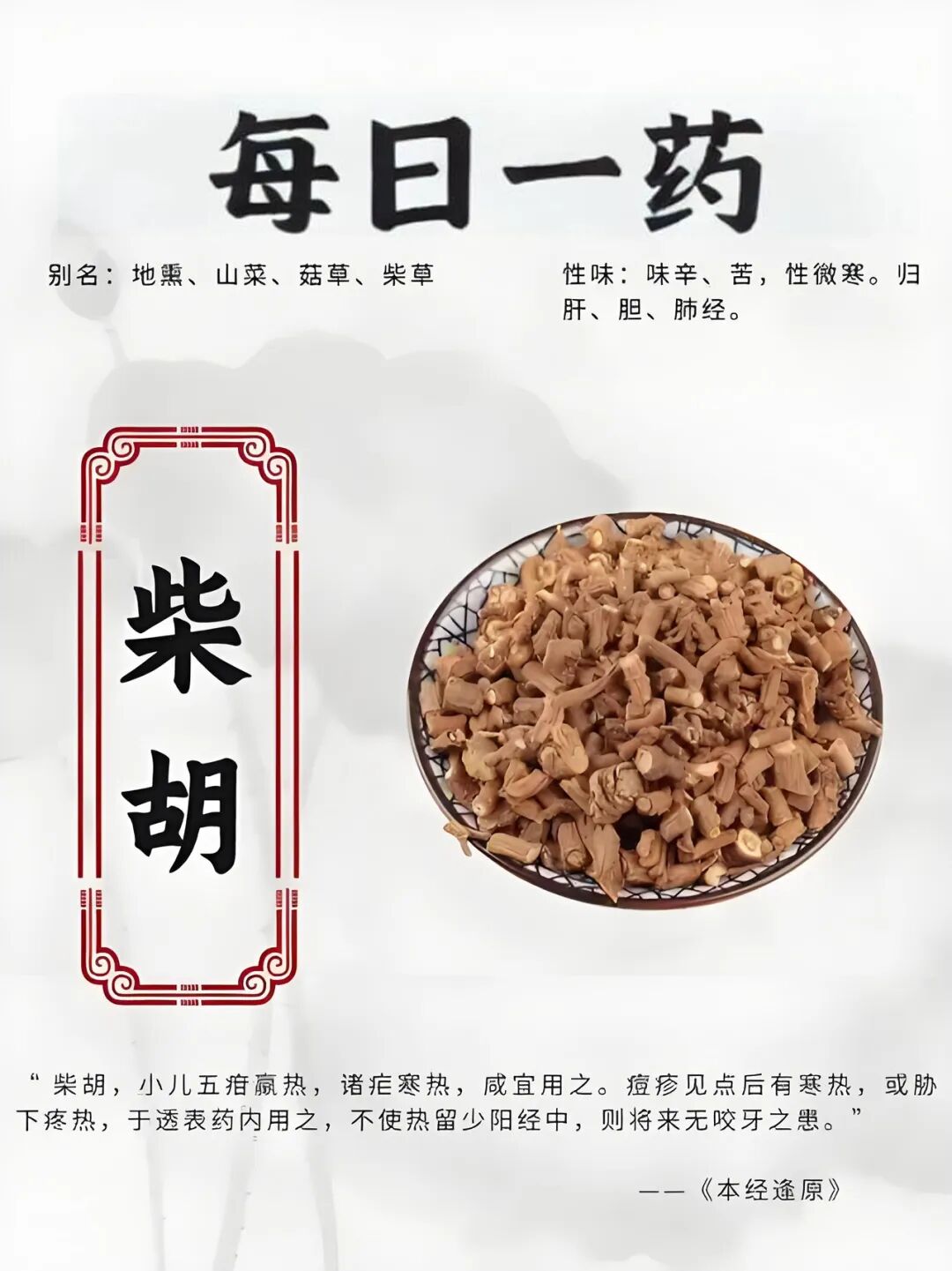 每日一药｜柴胡