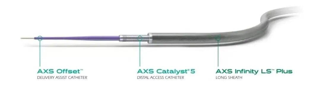 动脉长鞘怎么置入术说·第十七期丨Infinity长鞘助力Surpass Streamline血流导向密网支架治疗双侧颈内迂曲路径动脉瘤一例_https://www.jmylbn.com_新闻资讯_第36张