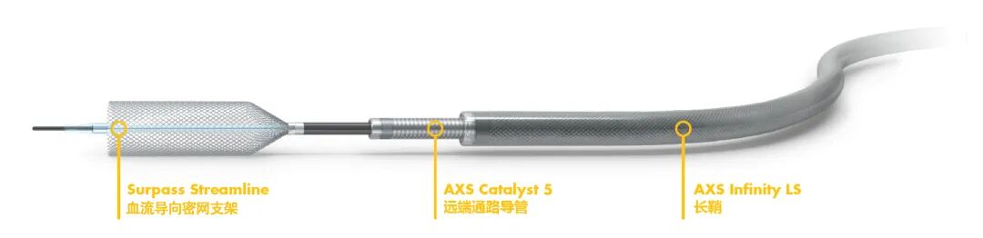 动脉长鞘怎么置入术说·第十七期丨Infinity长鞘助力Surpass Streamline血流导向密网支架治疗双侧颈内迂曲路径动脉瘤一例_https://www.jmylbn.com_新闻资讯_第35张