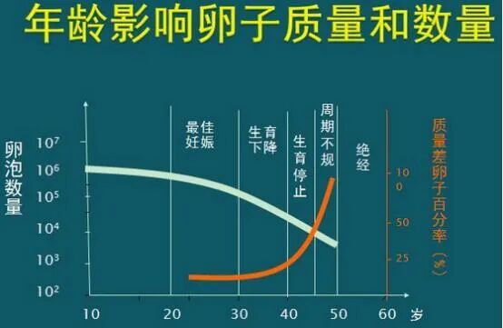 高龄生娃太难?看试管婴儿技术如何施展"魔法"！