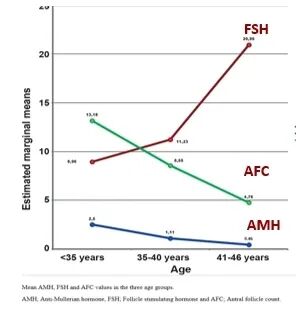 高龄生娃太难?看试管婴儿技术如何施展"魔法"！