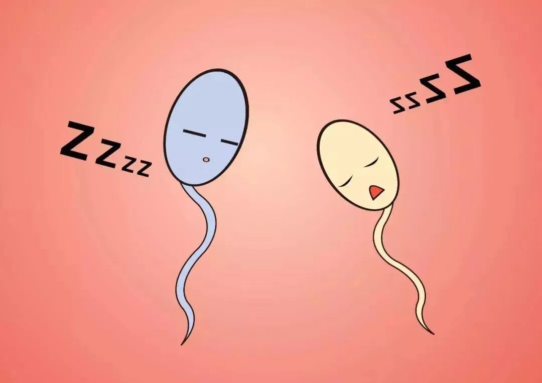 精子活力低还能做试管吗?