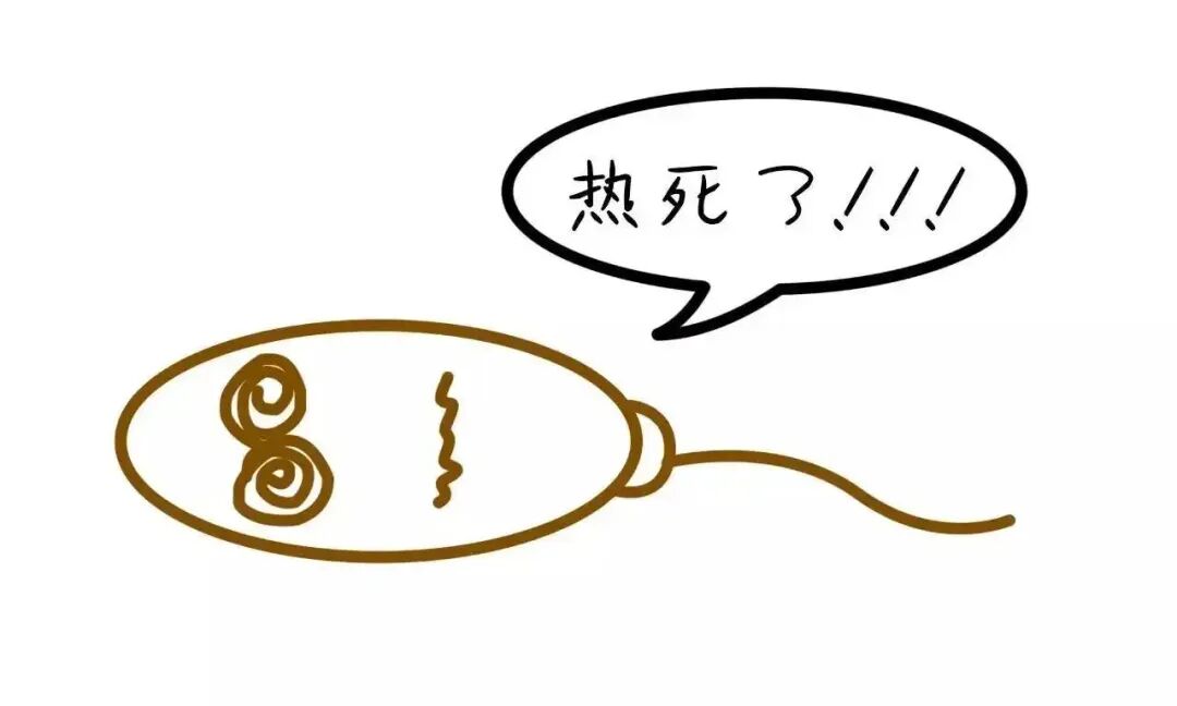 ​试管知识 | 哪些精子问题会影响胚胎质量?