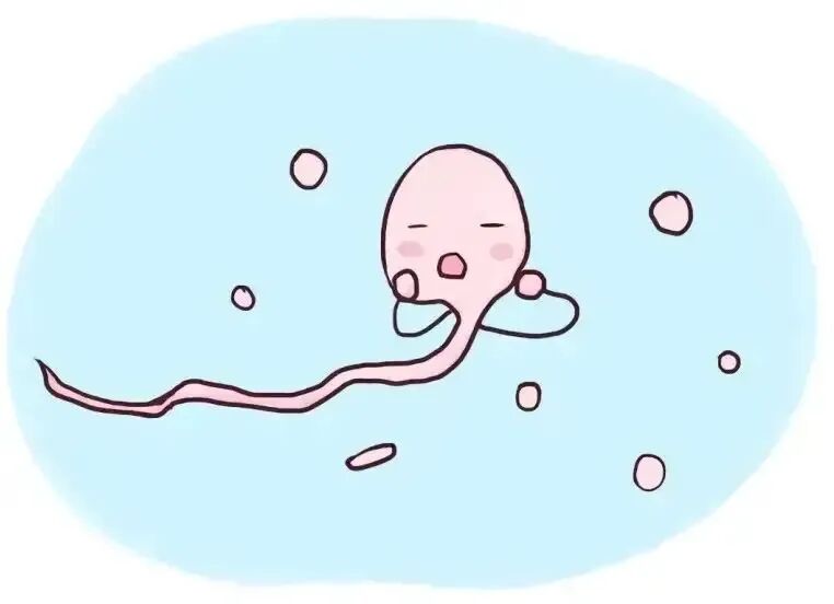 胚胎培养失败，或许和这些因素有关！