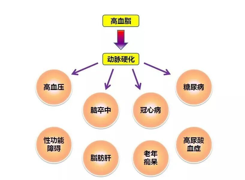 重视男性生育力，别让“小蝌蚪”扯后腿！