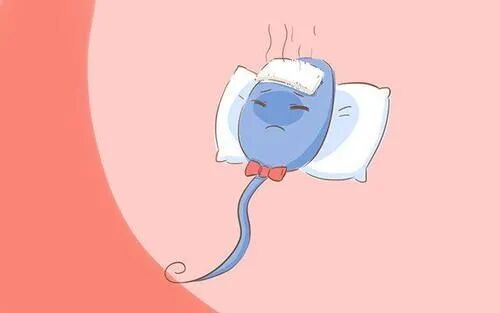 重视男性生育力，别让“小蝌蚪”扯后腿！