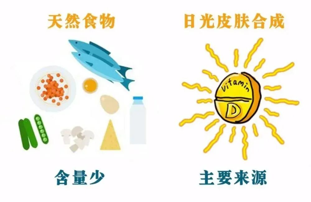 重视男性生育力，别让“小蝌蚪”扯后腿！