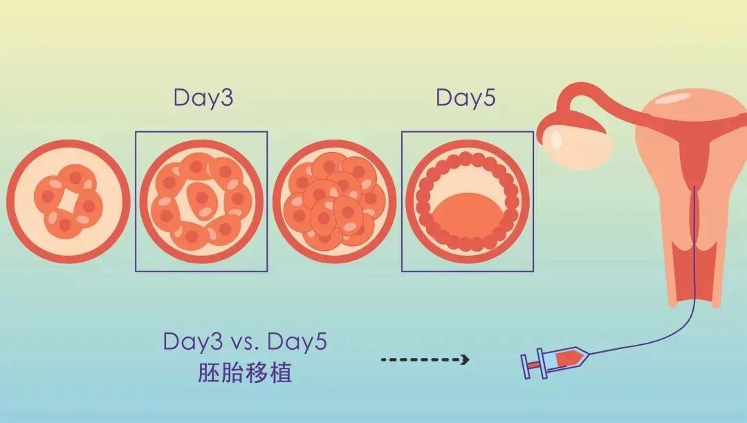 试管婴儿成功率背后的“猫腻”！