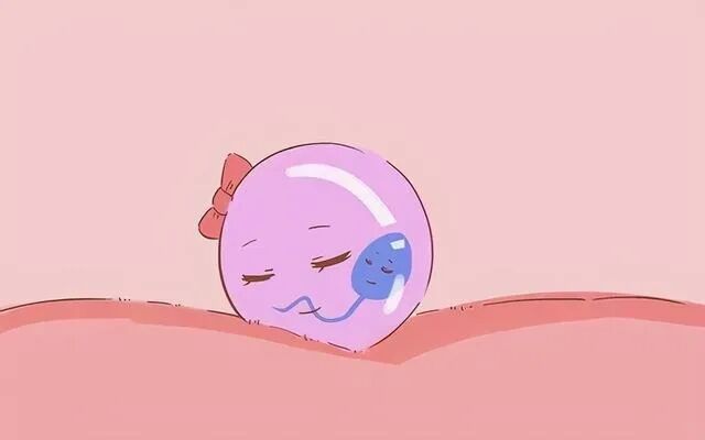 试管知识 | “鹊桥”积水也会影响试管成功率！