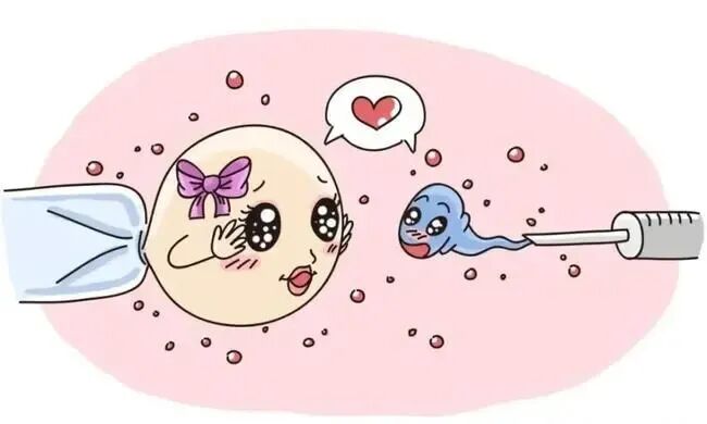 不得不知的卵巢早衰3个征兆和预防措施！