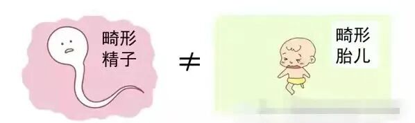有的人年纪轻轻，精子却“不行”了