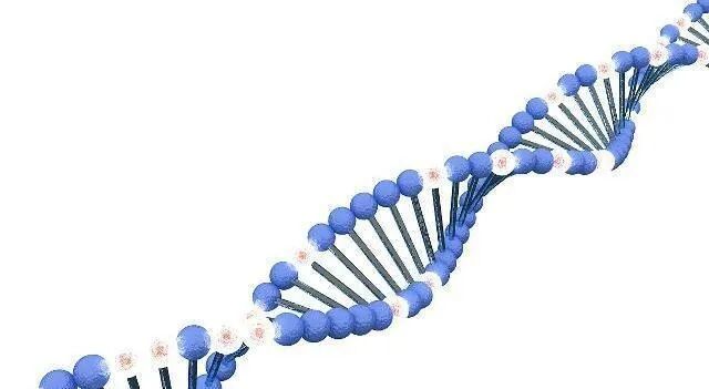 男性与流产无关？这四种情况下反复胎停率极高！