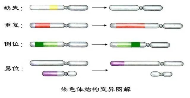 男性与流产无关？这四种情况下反复胎停率极高！