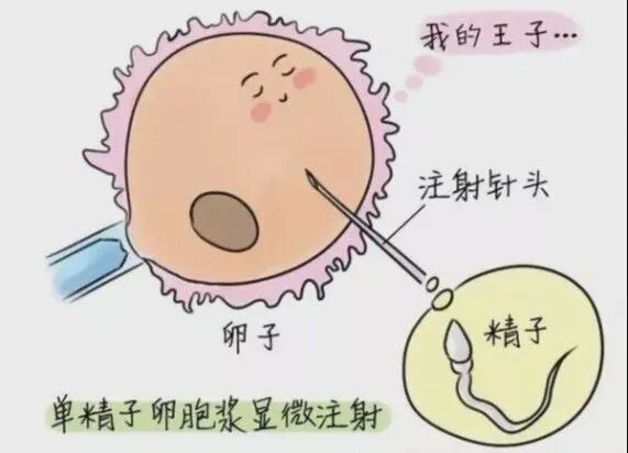 是“谁”偷走了男性成就“爸业”的权利?