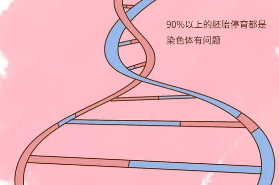 导致胎停的几大因素，你必须了解清楚！