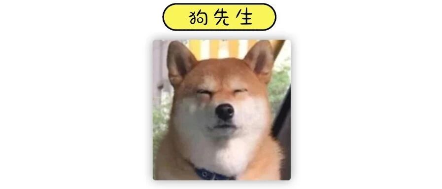 这两天，南京的铲屎官为狗屎操碎了心