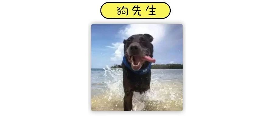 它得了癌症！但...