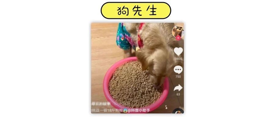 让狗做大胃王，辣椒跳跳糖吃到流眼泪主人还说吃得香？